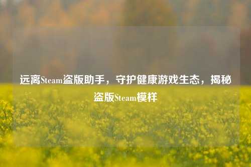 远离Steam盗版助手，守护健康游戏生态，揭秘盗版Steam模样