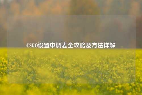 CSGO设置中调麦全攻略及方法详解