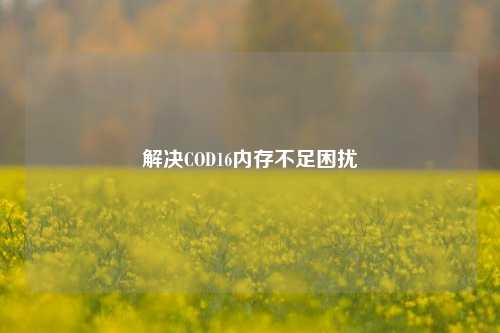 解决COD16内存不足困扰