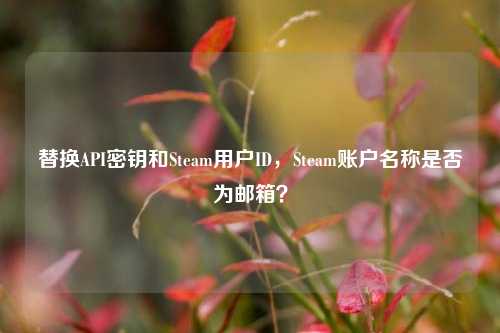 替换API密钥和Steam用户ID，Steam账户名称是否为邮箱？