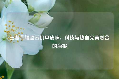 王者荣耀赵云机甲皮肤，科技与热血完美融合的海报
