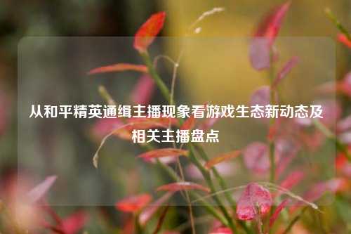 从和平精英通缉主播现象看游戏生态新动态及相关主播盘点