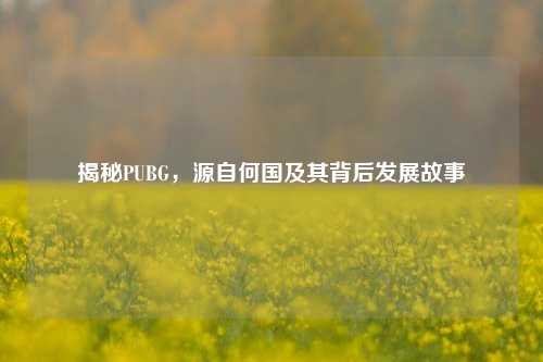 揭秘PUBG，源自何国及其背后发展故事
