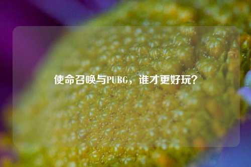 使命召唤与PUBG，谁才更好玩？