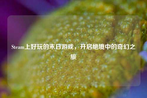 Steam上好玩的末日游戏，开启绝境中的奇幻之旅