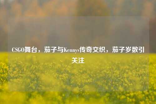 CSGO舞台，茄子与Kennys传奇交织，茄子岁数引关注