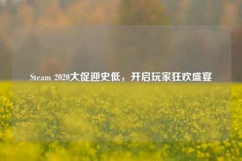 Steam 2020大促迎史低，开启玩家狂欢盛宴