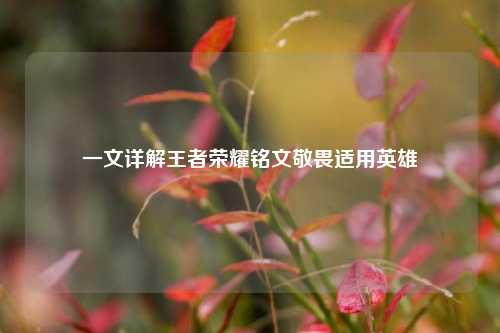一文详解王者荣耀铭文敬畏适用英雄