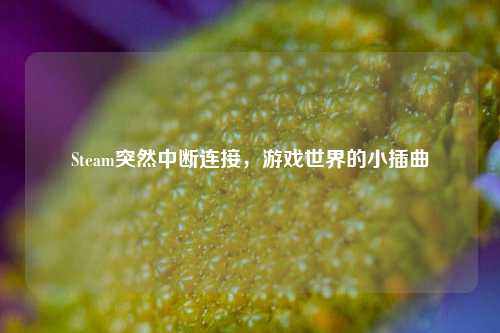 Steam突然中断连接，游戏世界的小插曲