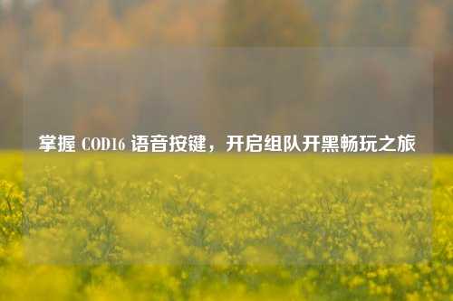 掌握 COD16 语音按键，开启组队开黑畅玩之旅