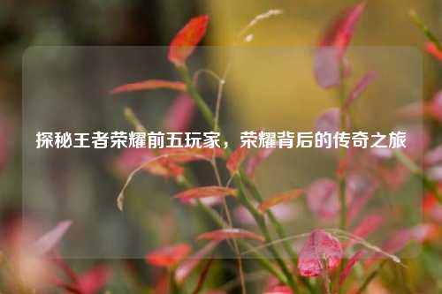 探秘王者荣耀前五玩家，荣耀背后的传奇之旅