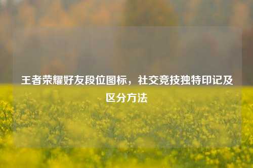王者荣耀好友段位图标，社交竞技独特印记及区分方法