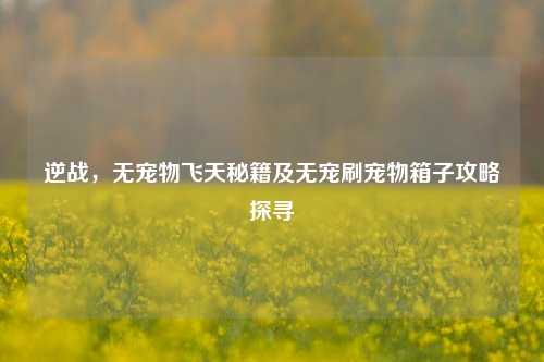 逆战，无宠物飞天秘籍及无宠刷宠物箱子攻略探寻