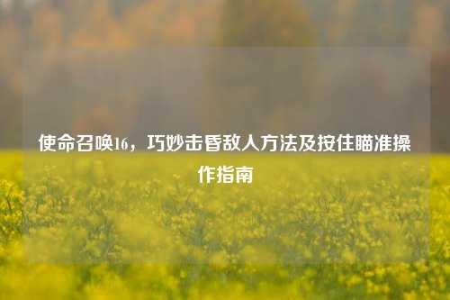 使命召唤16，巧妙击昏敌人方法及按住瞄准操作指南