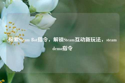 探索Steam Bot指令，解锁Steam互动新玩法，steamdemo指令