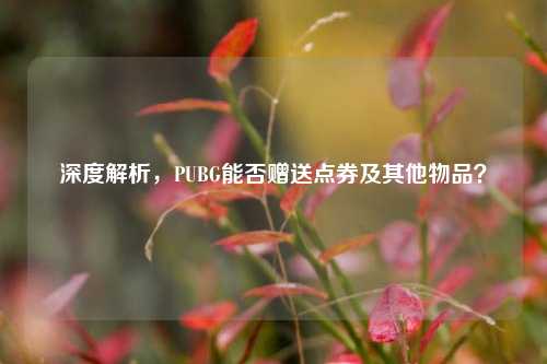 深度解析，PUBG能否赠送点券及其他物品？