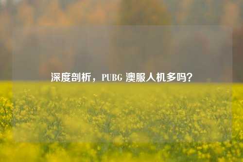 深度剖析，PUBG 澳服人机多吗？