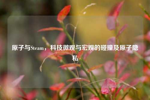 原子与Steam，科技微观与宏观的碰撞及原子隐私