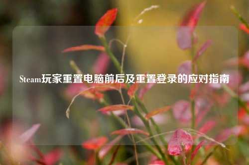 Steam玩家重置电脑前后及重置登录的应对指南