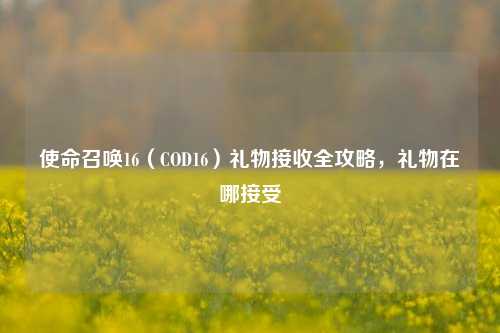 使命召唤16（COD16）礼物接收全攻略，礼物在哪接受