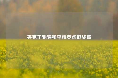 夹克王驰骋和平精英虚拟战场