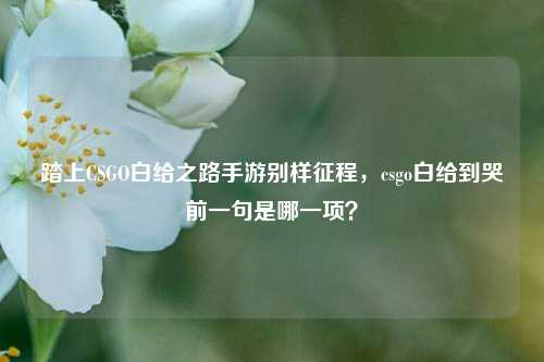 踏上CSGO白给之路手游别样征程，csgo白给到哭前一句是哪一项？