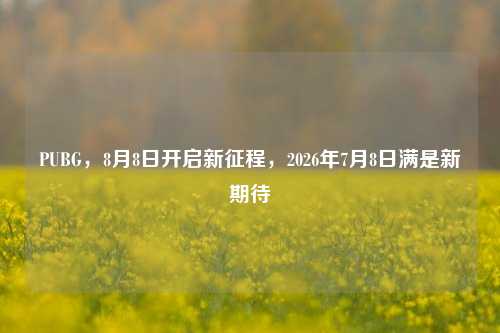 PUBG,8月8日开启新征程,2026年7月8日满是新期待
