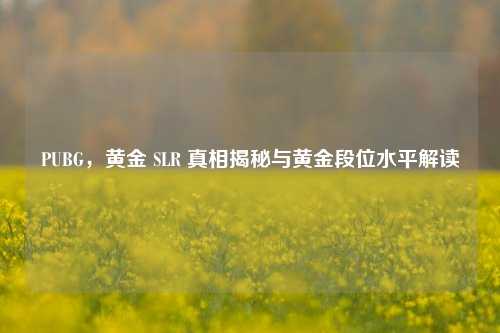 PUBG，黄金 SLR 真相揭秘与黄金段位水平解读