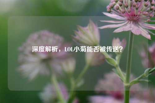 深度解析，LOL小菊能否被传送？