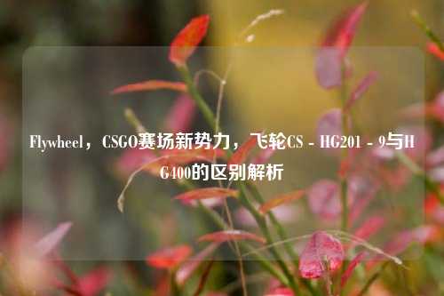 Flywheel，CSGO赛场新势力，飞轮CS - HG201 - 9与HG400的区别解析