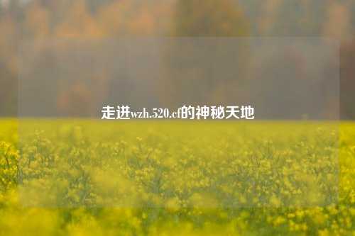 走进wzh.520.cf的神秘天地