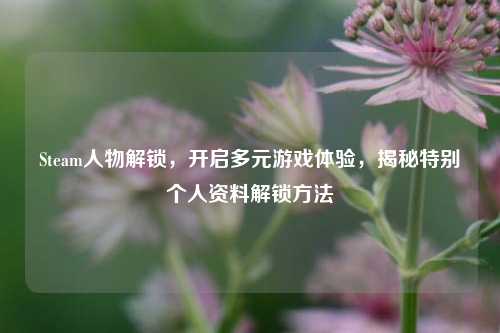 Steam人物解锁，开启多元游戏体验，揭秘特别个人资料解锁方法