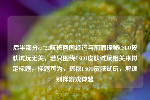 后半部分ca722航班回国经过与前面探秘CSGO皮肤试玩无关，若只围绕CSGO皮肤试玩相关来拟定标题，标题可为，探秘CSGO皮肤试玩，解锁别样游戏体验