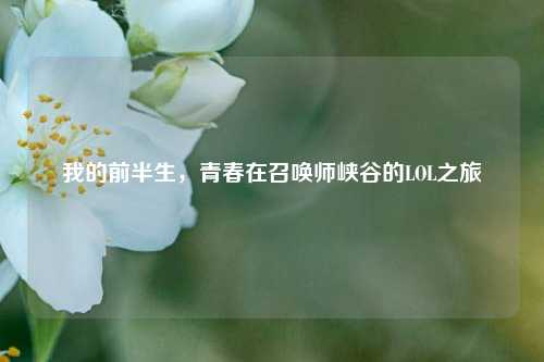 我的前半生，青春在召唤师峡谷的LOL之旅