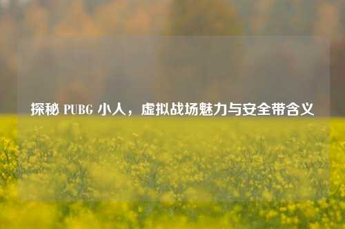 探秘 PUBG 小人，虚拟战场魅力与安全带含义