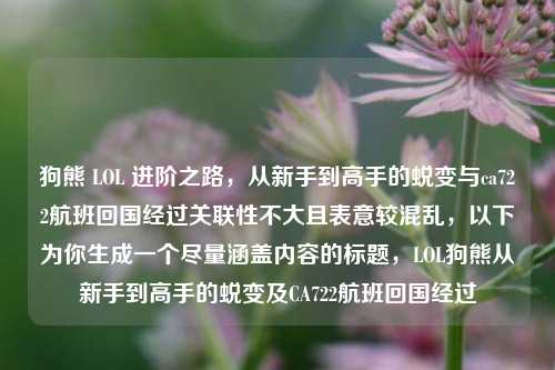 狗熊 LOL 进阶之路，从新手到高手的蜕变与ca722航班回国经过关联性不大且表意较混乱，以下为你生成一个尽量涵盖内容的标题，LOL狗熊从新手到高手的蜕变及CA722航班回国经过