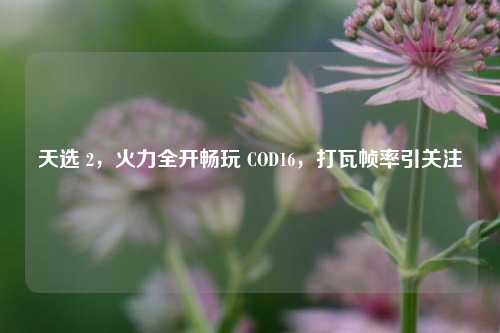 天选 2，火力全开畅玩 COD16，打瓦帧率引关注