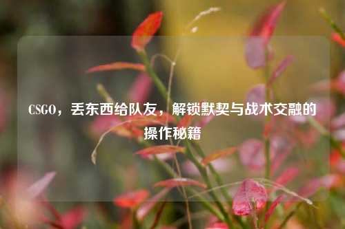 CSGO,丢东西给队友,解锁默契与战术交融的操作秘籍