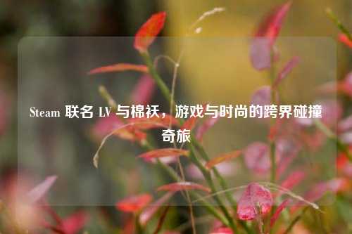Steam 联名 LV 与棉袄，游戏与时尚的跨界碰撞奇旅