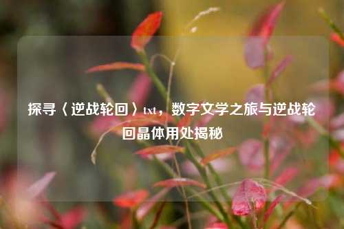 探寻〈逆战轮回〉txt,数字文学之旅与逆战轮回晶体用处揭秘