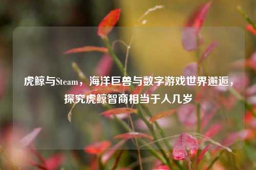 虎鲸与Steam，海洋巨兽与数字游戏世界邂逅，探究虎鲸智商相当于人几岁