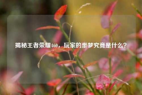 揭秘王者荣耀460，玩家的噩梦究竟是什么？