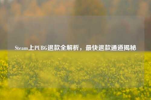 Steam上PUBG退款全解析，最快退款通道揭秘