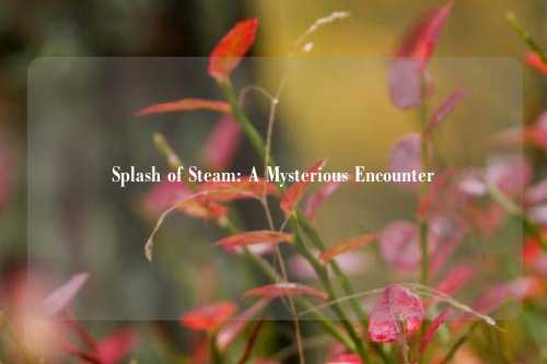 Splash of Steam: A Mysterious Encounter
