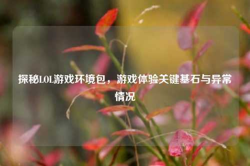 探秘LOL游戏环境包，游戏体验关键基石与异常情况