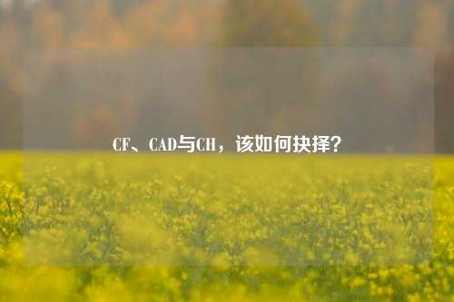 CF、CAD与CH，该如何抉择？