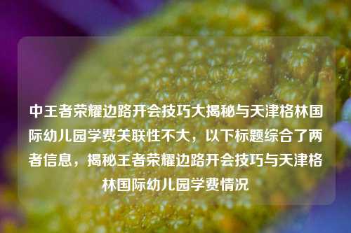 中王者荣耀边路开会技巧大揭秘与天津格林国际幼儿园学费关联性不大，以下标题综合了两者信息，揭秘王者荣耀边路开会技巧与天津格林国际幼儿园学费情况