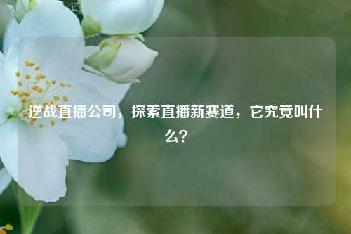 逆战直播公司,探索直播新赛道,它究竟叫什么?