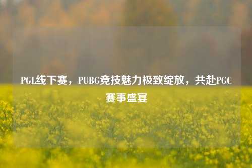 PGL线下赛,PUBG竞技魅力极致绽放,共赴PGC赛事盛宴