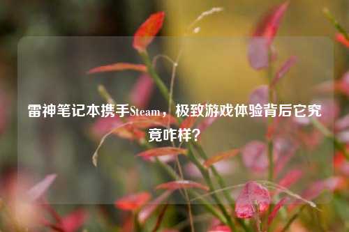 雷神笔记本携手Steam，极致游戏体验背后它究竟咋样？